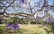 Leis Park - thumb 2