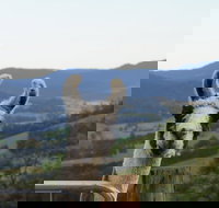 Llama Walks Tasmania - Accommodation ACT