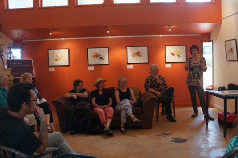 Magpie Springs Gallery - Accommodation ACT 1