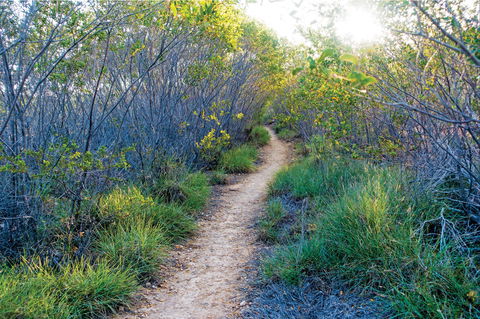 Minerva Hills National Park - Accommodation ACT 2