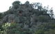 Mount Yarrowyck Nature Reserve - thumb 0