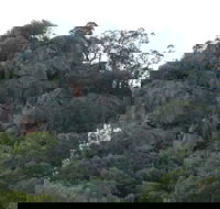 Mount Yarrowyck Nature Reserve - Accommodation ACT