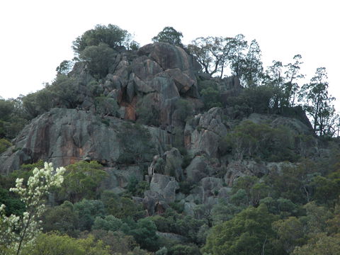 Mount Yarrowyck Nature Reserve - Accommodation ACT 0