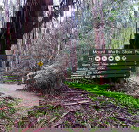 Mount Worth State Park - Accommodation ACT