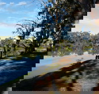 Murray River National Park - Katarapko - Accommodation ACT