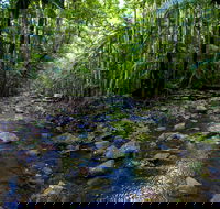 Nambucca Valley - Accommodation ACT