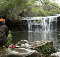 Nellies Glen Picnic Area