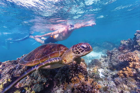 Ningaloo Marine Park - Accommodation ACT 0