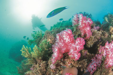 Ningaloo Marine Park - Accommodation ACT 2
