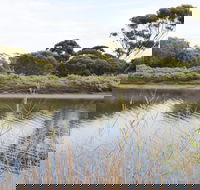Onkaparinga River Recreation Park - Accommodation ACT