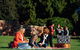 Royal Tasmanian Botanical Gardens - thumb 0