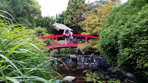 Royal Tasmanian Botanical Gardens - Accommodation ACT 1