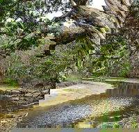 Saltwater National Park - Accommodation ACT