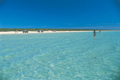 Shark Bay World Heritage Drive - Accommodation ACT 1