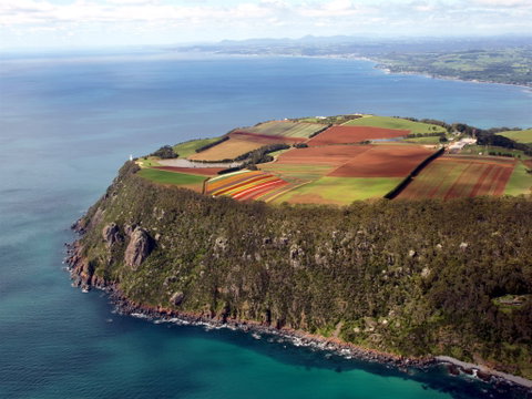 Table Cape - Accommodation ACT 1