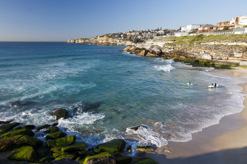 Tamarama Beach - Accommodation ACT 1