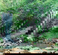 Tamborine National Park - Accommodation ACT