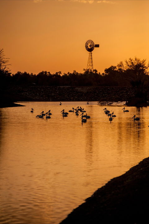 Thomson River, Longreach - Accommodation ACT 2