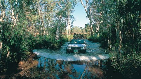Tjaynera Falls (Sandy Creek) - Accommodation ACT 1