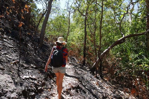 Tjaynera Falls (Sandy Creek) - Accommodation ACT 2