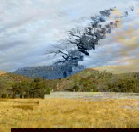 Weddin Mountains National Park - Accommodation ACT