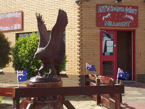 Ant's Redgum Gallery - Accommodation ACT 0