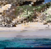 Australian Sea Lions - Accommodation ACT