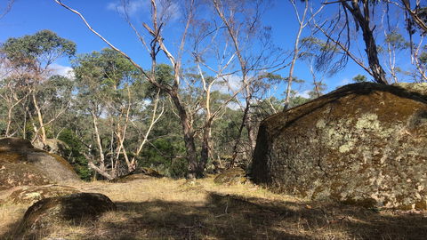 Bailey's Rocks - Dergholm State Park - Accommodation ACT 0