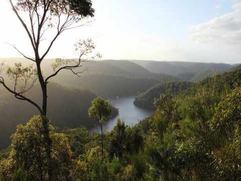 Berowra Valley National Park - Accommodation ACT 0