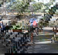 Bidgee Riverside Trail  - Hay Nature Walk - Accommodation ACT