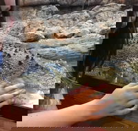 Canberra Reptile Zoo - Accommodation ACT