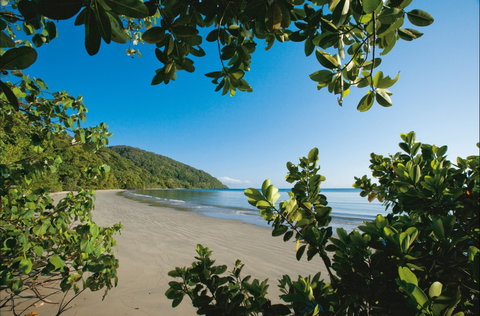Cape Tribulation, Daintree National Park - Accommodation ACT 1