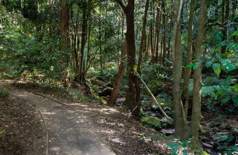 Cascades Walk - Accommodation ACT 0