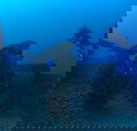 Cementco Dive Site - Accommodation ACT