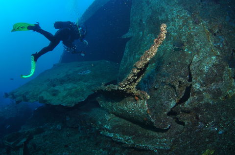 Cementco Dive Site - Accommodation ACT 1