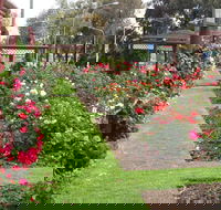 Cowra Rose Garden - Accommodation ACT