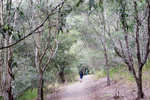 D'Aguilar National Park - Accommodation ACT 2