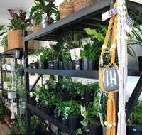 Fancy Plants - Accommodation ACT