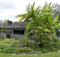 Gold Coast Historical Museum Inc - Accommodation ACT
