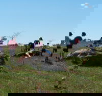 Jim Salmon  Wetland Education Site - Accommodation ACT