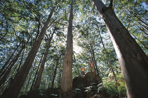 Leeuwin-Naturaliste National Park - Leeuwin - Accommodation ACT 0