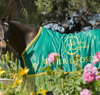 Living Legends The International Home of Rest for Champion Horses - Accommodation ACT