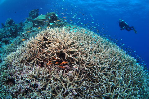 Lodestone Reef - Accommodation ACT 1