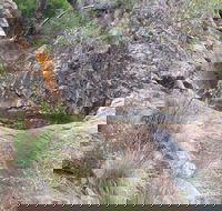 Mill-bullah Walking Track - Accommodation ACT
