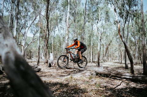 Mountain Bike Trails Deniliquin - Accommodation ACT 2