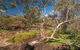 Mount Grenfell Historic Site - thumb 0