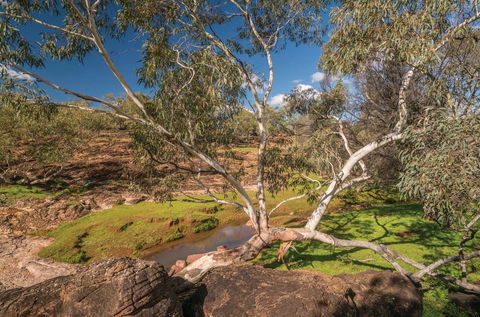Mount Grenfell Historic Site - Accommodation ACT 0