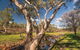 Mount Grenfell Historic Site - thumb 2