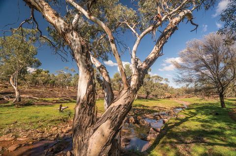 Mount Grenfell Historic Site - Accommodation ACT 2