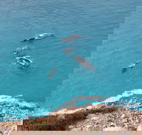 Nullarbor National Park - Accommodation ACT